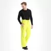 Descente, Roscoe Ski Pants Men Wakakusa Green